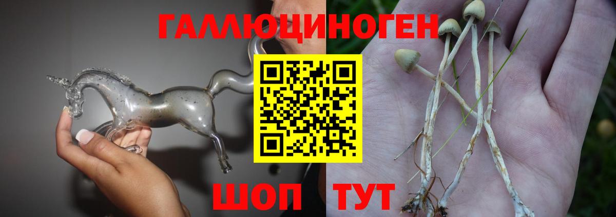 Галлюциногенные грибы Cubensis  Вход с VPN  Кондопога 